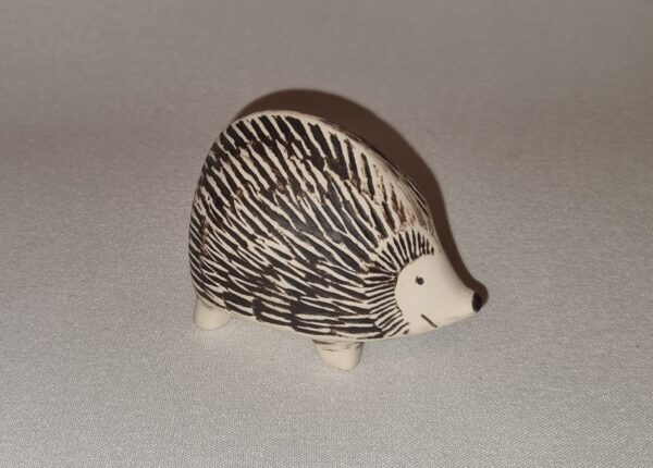 Igelkotten Iggy - Bild 3